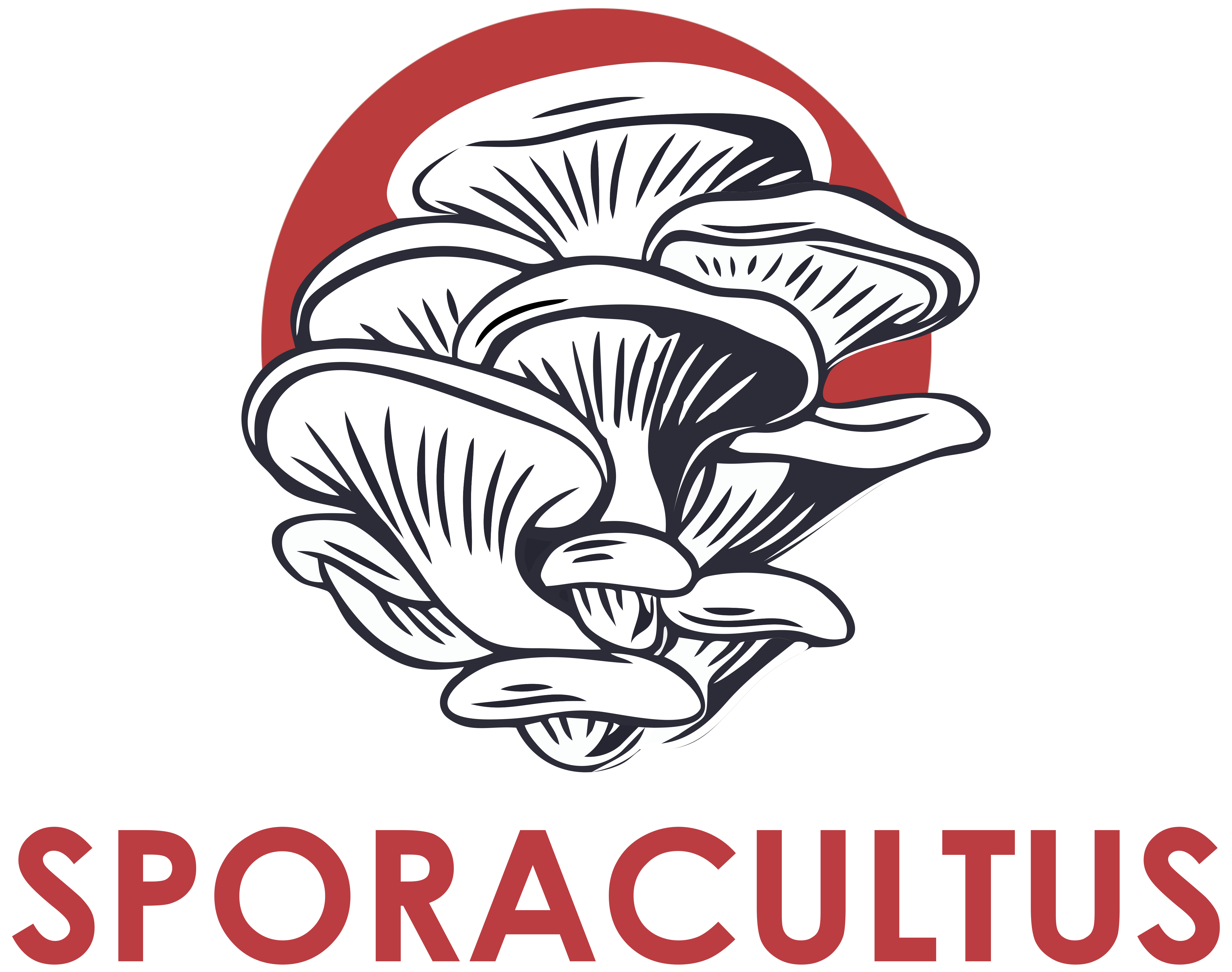 logo sporacultus