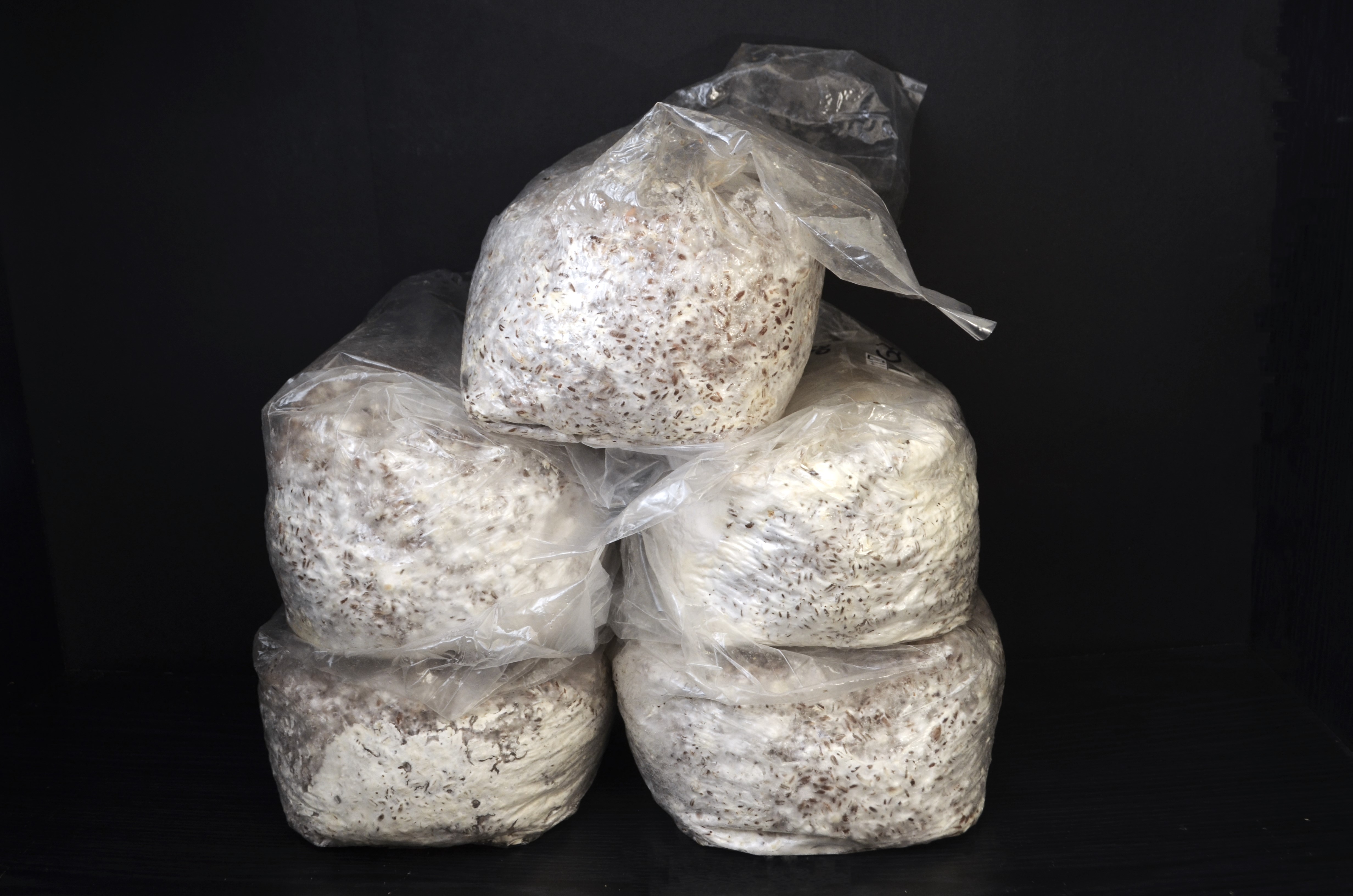 bloc de production champignon